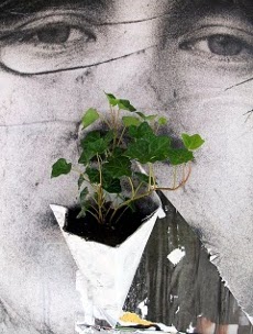 Poster_Pockets_Plants_MaF_03_faccia1